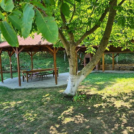 Salas U Bregu In Cheile Carasului Crasova Extérieur photo
