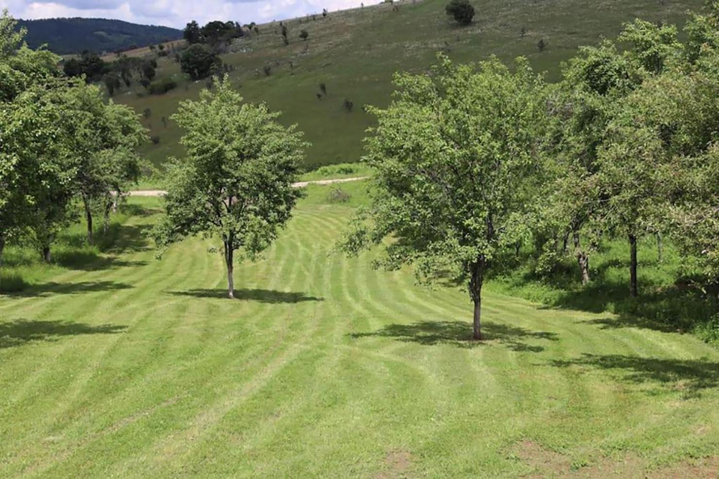 Salas U Bregu In Cheile Carasului Crasova Extérieur photo